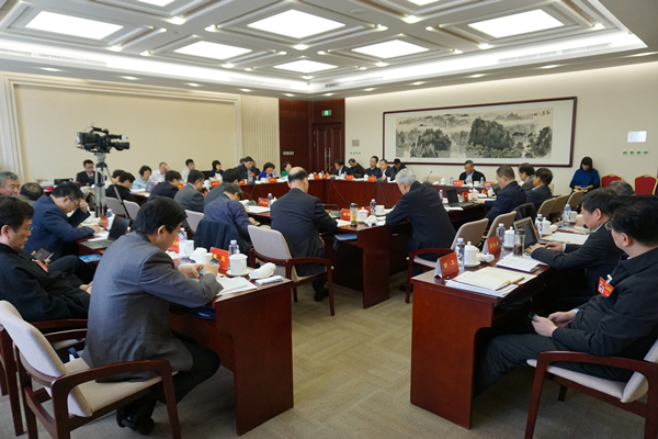 政协民进组委员讨论计划报告和预算报告