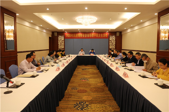 海南省委会召开2020年领导班子民主生活会