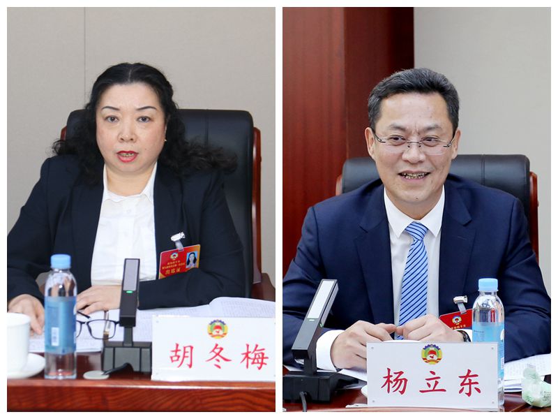 接续奋斗谱新篇——民进会员中的人大代表,政协委员参加四平市"两会"