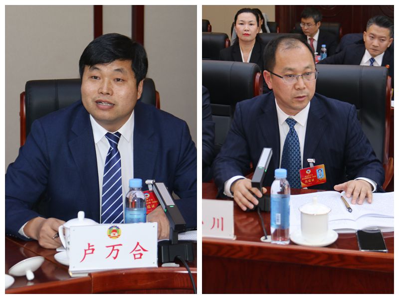 接续奋斗谱新篇——民进会员中的人大代表,政协委员参加四平市"两会"