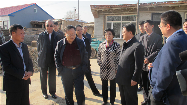 薛康主委到镇赉县坦途镇红岗村就脱贫攻坚工作进行调研