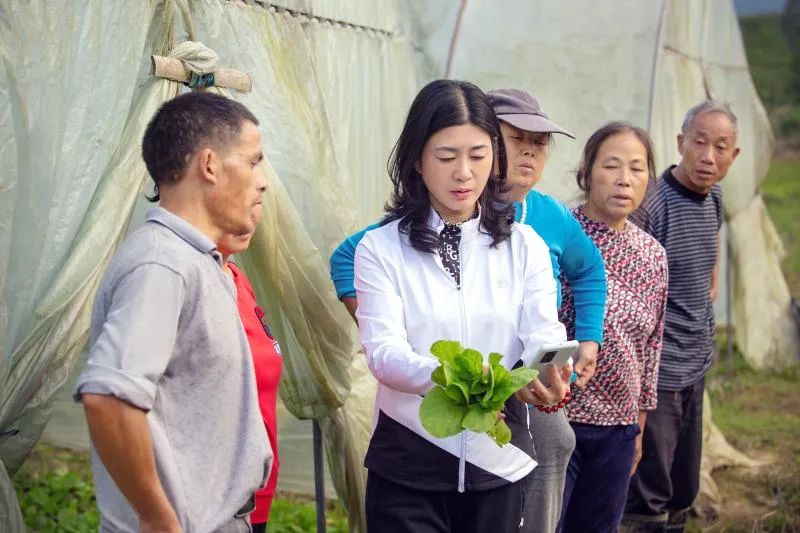 佳惠李小红个人资料图片