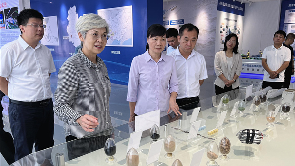 民进广西区委会赴防城港、崇左、百色市开展“大力发展县域经济”专题调研
