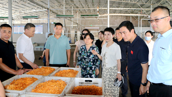 民进辽宁省委会在辽阳市开展调研活动