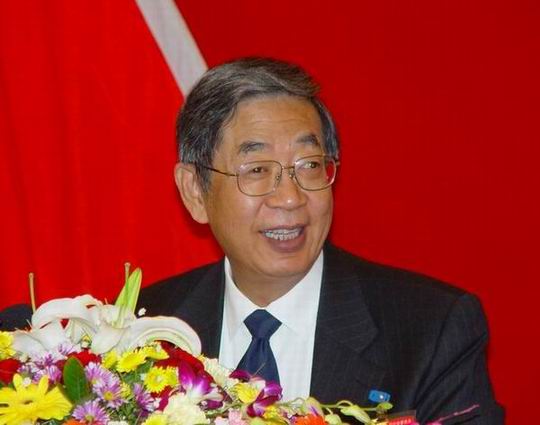 全国人大常委会副委员长 民进中央主席 许嘉璐