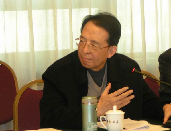 蔡述明:从铁路运输角度看,发展中部地区的重要举措之一是应建立起以武汉为中心的立体交通网络,提升武汉在华中地区铁路网络的中心地位,使之成为北京、上海、广州之外的第四大铁路中心站。