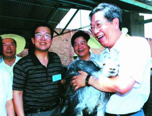 2001年7月,许嘉璐主席考察杨凌克隆羊基地。