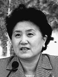 全国政协副主席 中央统战部部长 刘延东