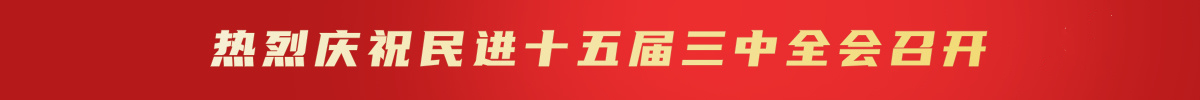民进十五届三中全会