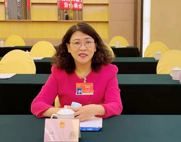 全国人大代表兰燕建议加强灵活就业人员社会保障