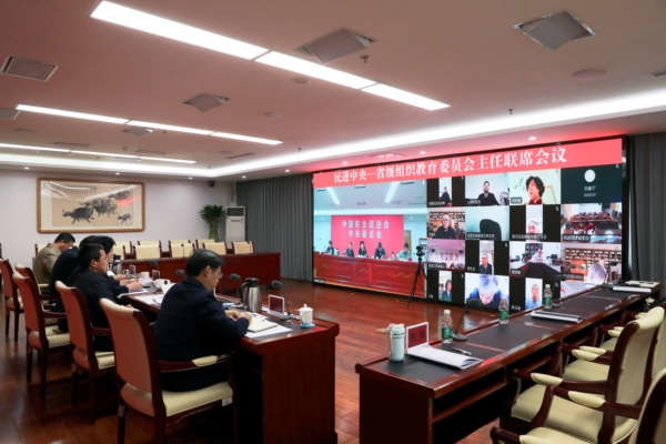 庞丽娟出席民进中央—省级组织教育委员会主任联席会议