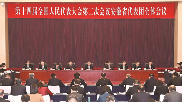 蔡达峰参加安徽代表团审议