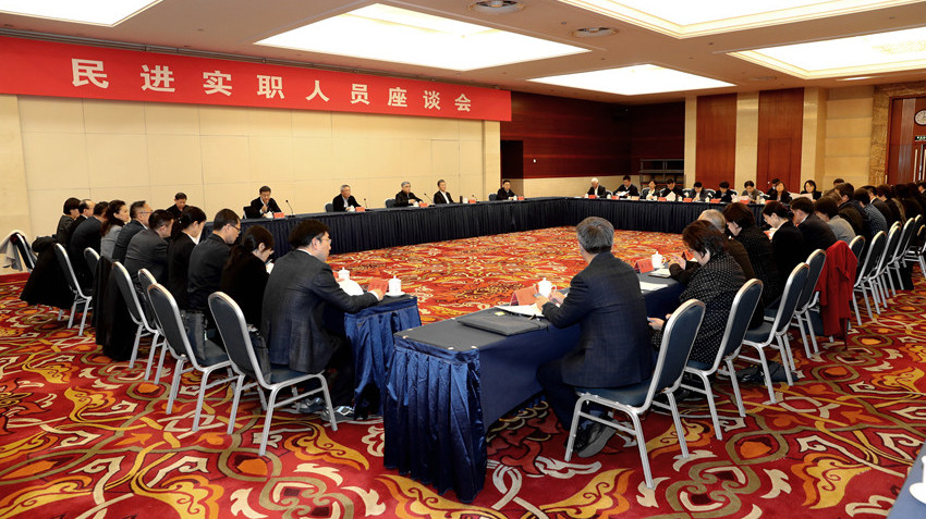 民进实职人员座谈会在京召开