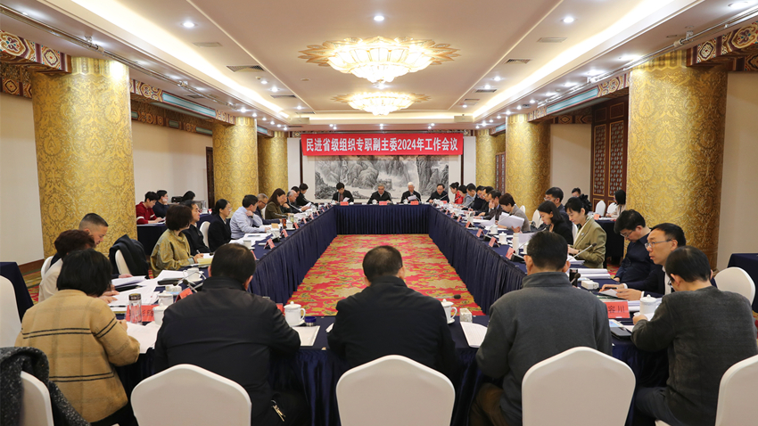 民进省级组织专职副主委工作会议在京召开