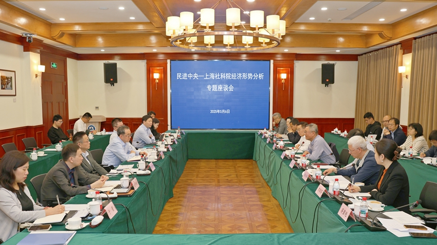 民进中央—上海社科院经济形势分析专题座谈会在沪举行