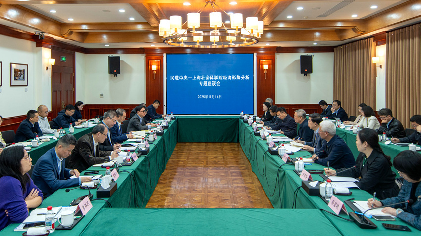 民进中央—上海社科院经济形势分析专题座谈会在沪举行