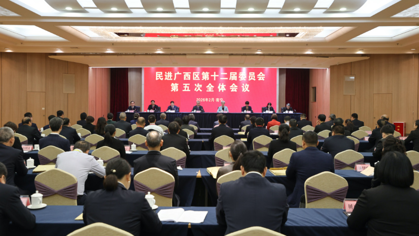 朱永新出席民进广西区委会十二届五次全会
