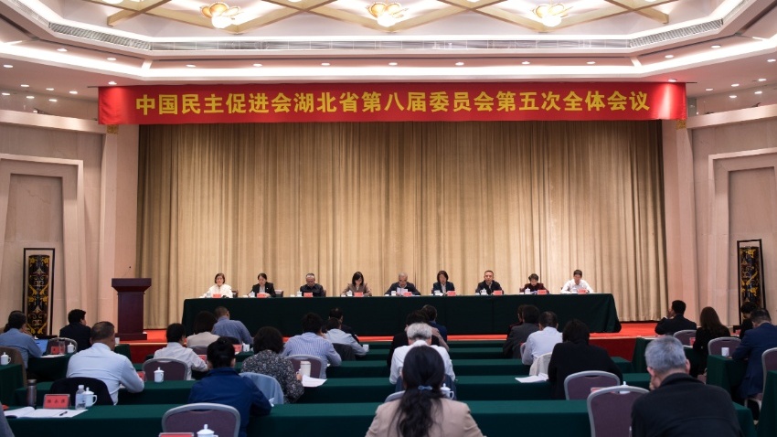 朱永新出席民进湖北省委会八届五次全会